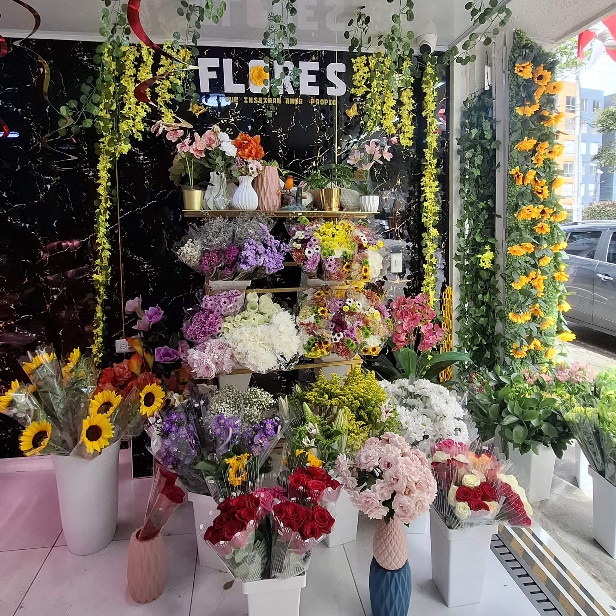Local FLORES - Interior Carnova Premium